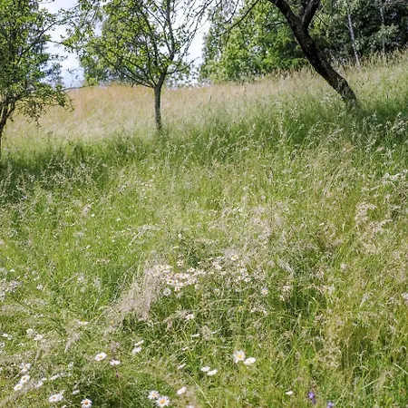 Chaloupka V Ceskem Raji Ferienhaus *