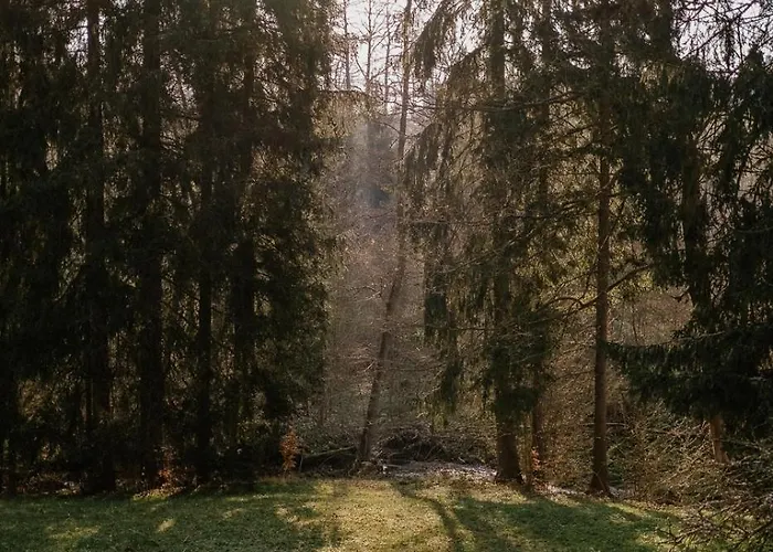 Chaloupka V Ceskem Raji
